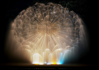 Amazing Dandelion Water Fountain, ธีมเพลงน้ำพุขนาดเล็กที่กำหนดเอง ผู้ผลิต